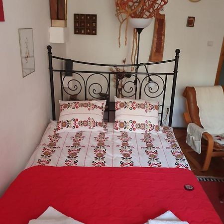 Apartament Anca ティミショアラ エクステリア 写真