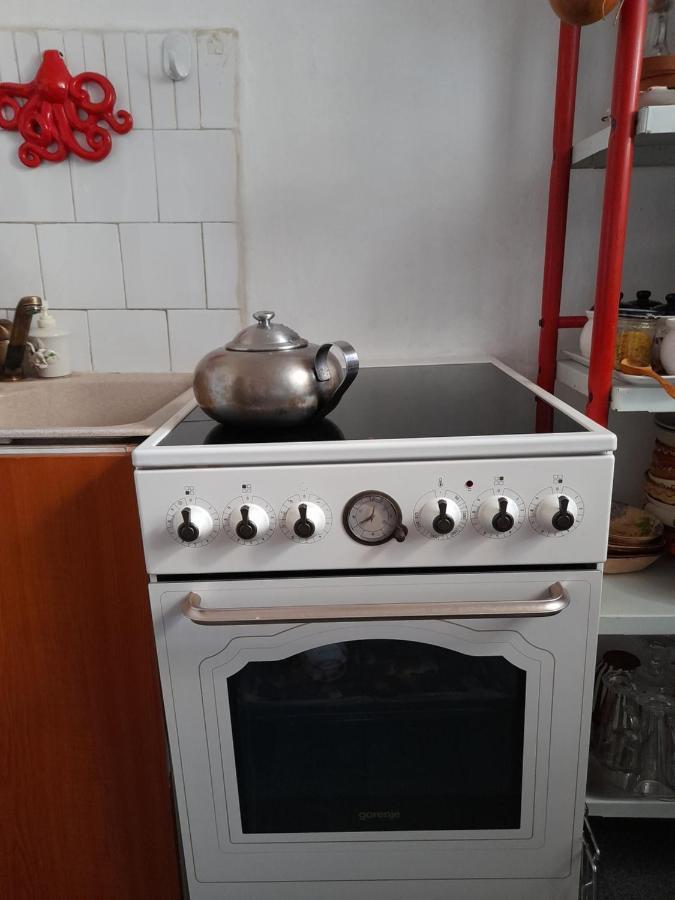 Apartament Anca ティミショアラ エクステリア 写真