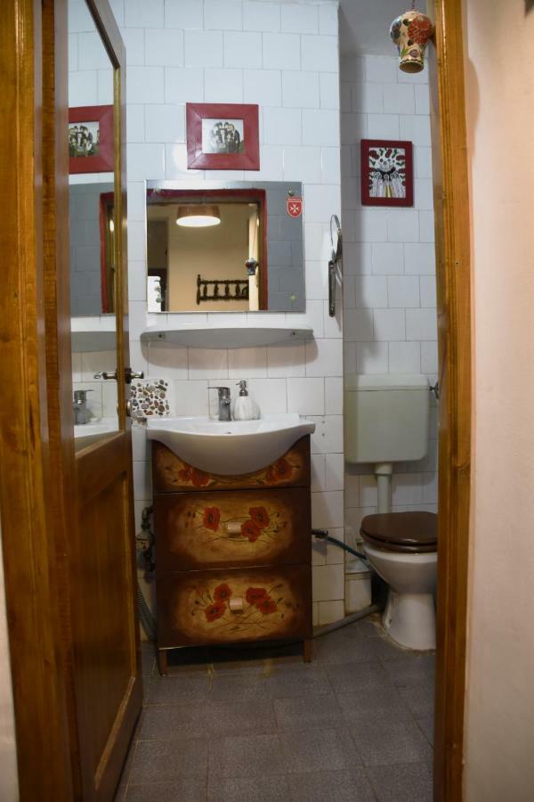 Apartament Anca ティミショアラ エクステリア 写真