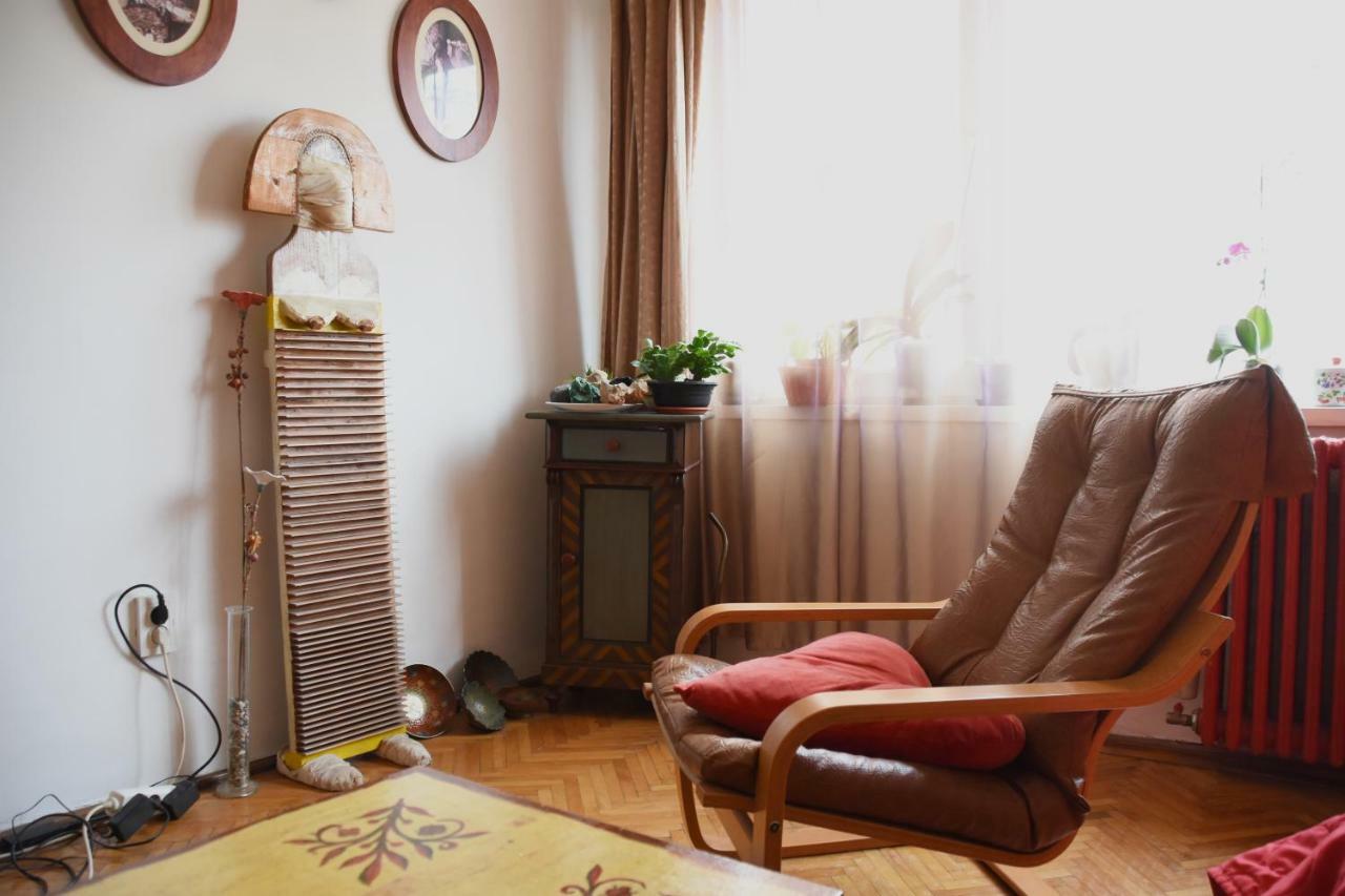 Apartament Anca ティミショアラ エクステリア 写真
