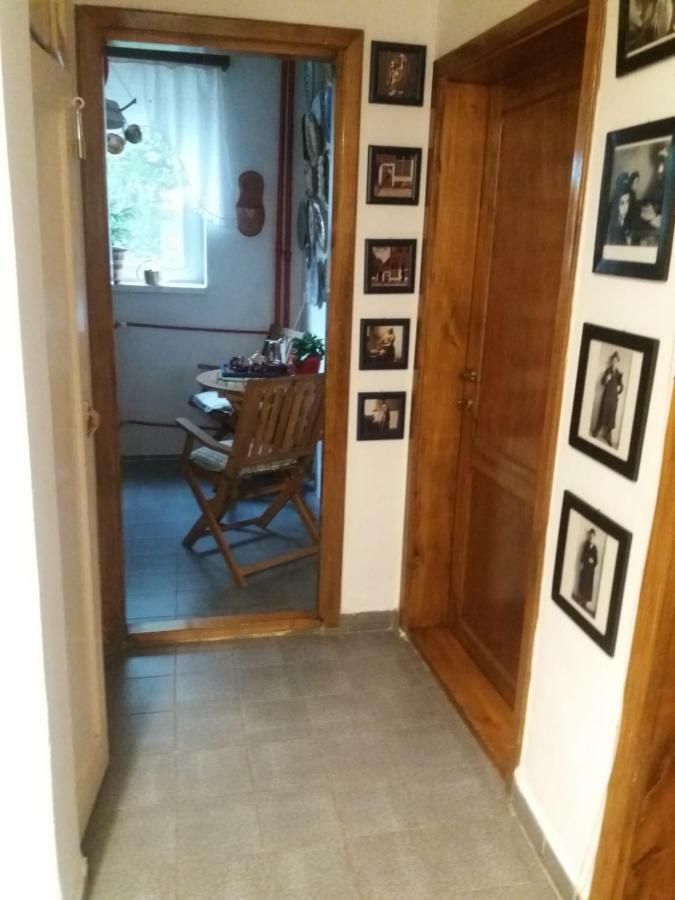 Apartament Anca ティミショアラ エクステリア 写真