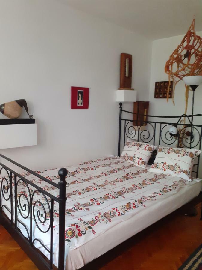 Apartament Anca ティミショアラ エクステリア 写真