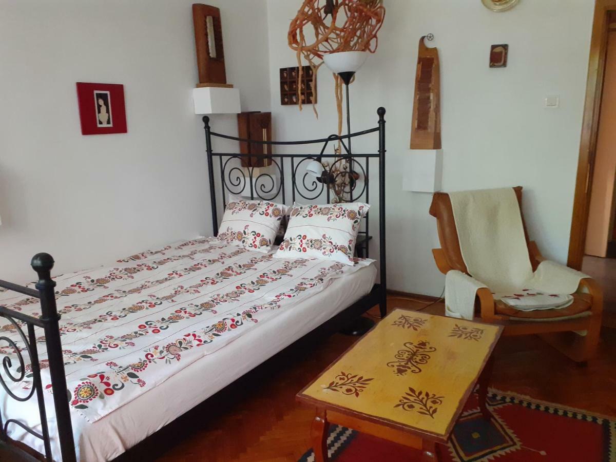 Apartament Anca ティミショアラ エクステリア 写真