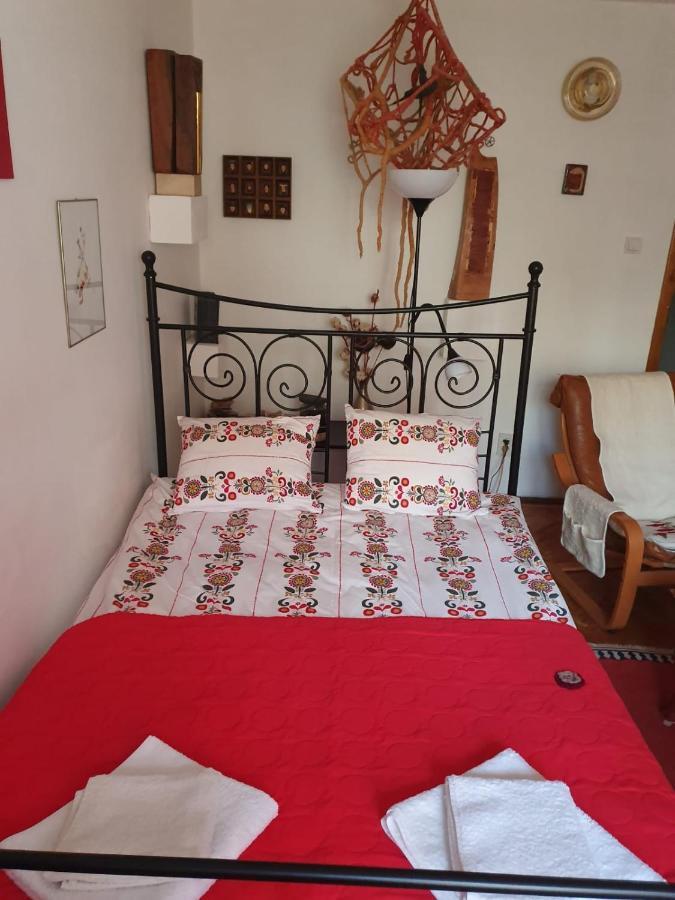 Apartament Anca ティミショアラ エクステリア 写真